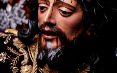 Recogida del Boletin Anual